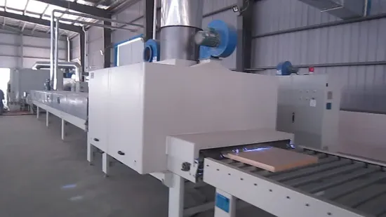 No Formaldehyde and High Quality WPC Door (YM